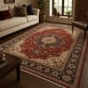 Turkish / Persian Rug